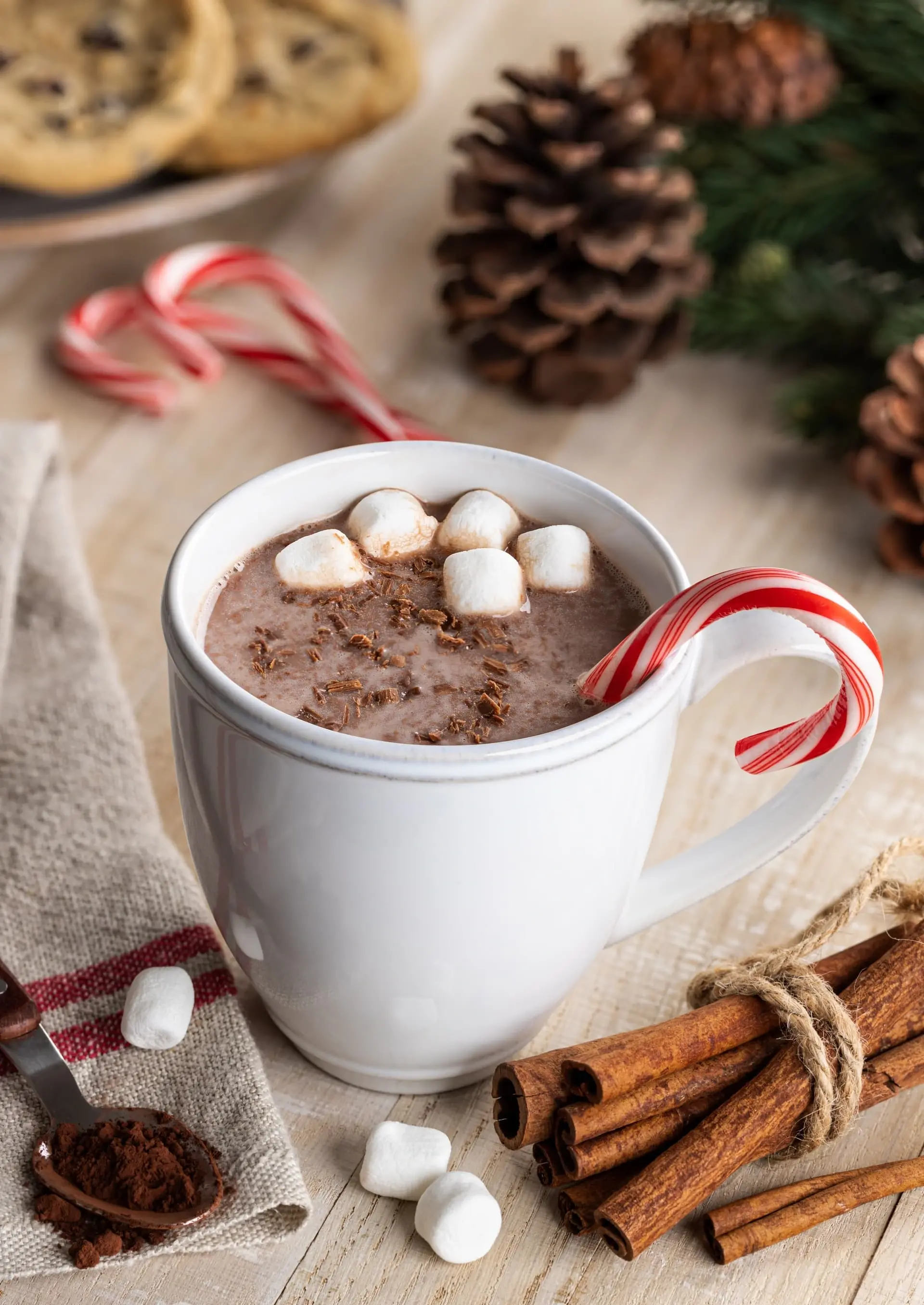 Candy Cane Hot Chocolate Recipe